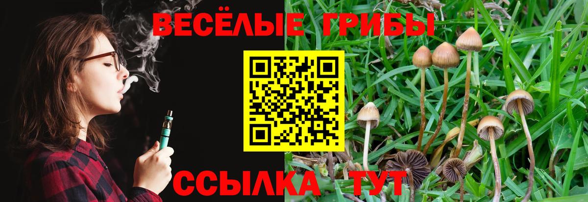 Псилоцибиновые грибы Magic Shrooms Люберцы