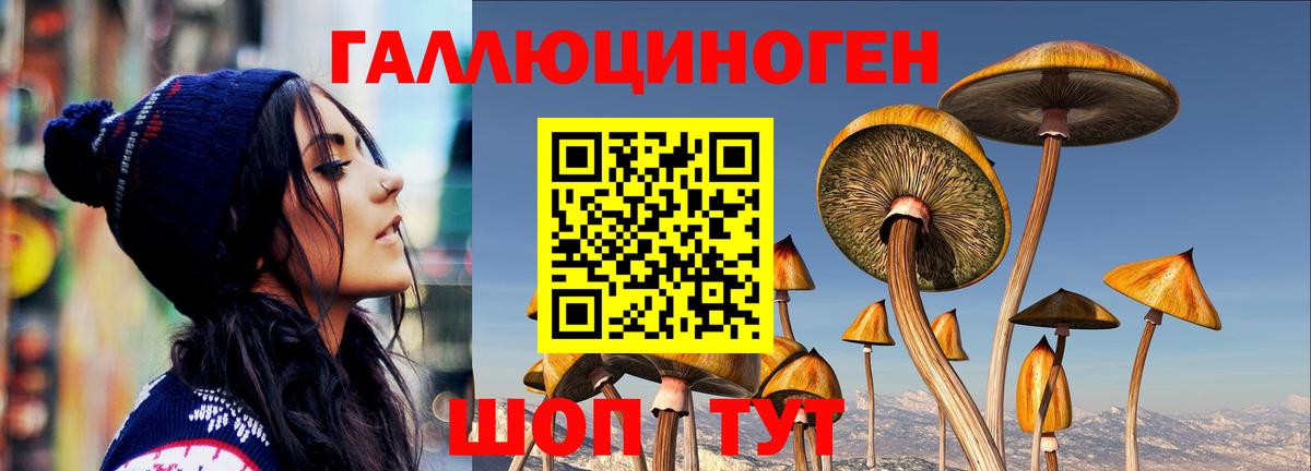 Галлюциногенные грибы Magic Shrooms  купить наркоту  Люберцы  Вход с VPN  Галлюциногенные грибы прущие грибы 